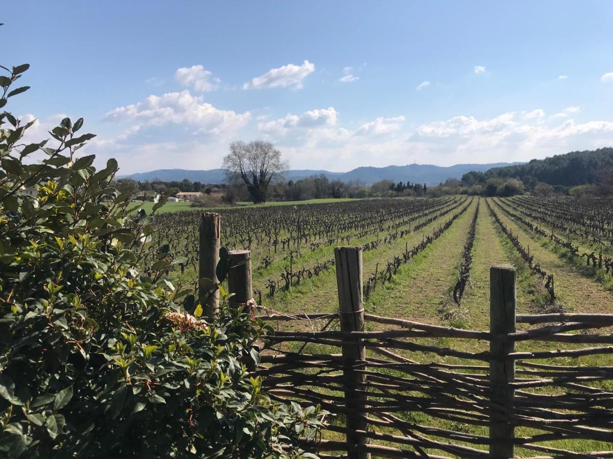 Chateau Saint-Pierre De Mejans Puyvert Kültér fotó