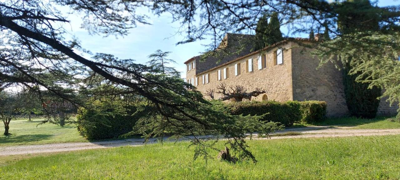 Chateau Saint-Pierre De Mejans Puyvert Kültér fotó