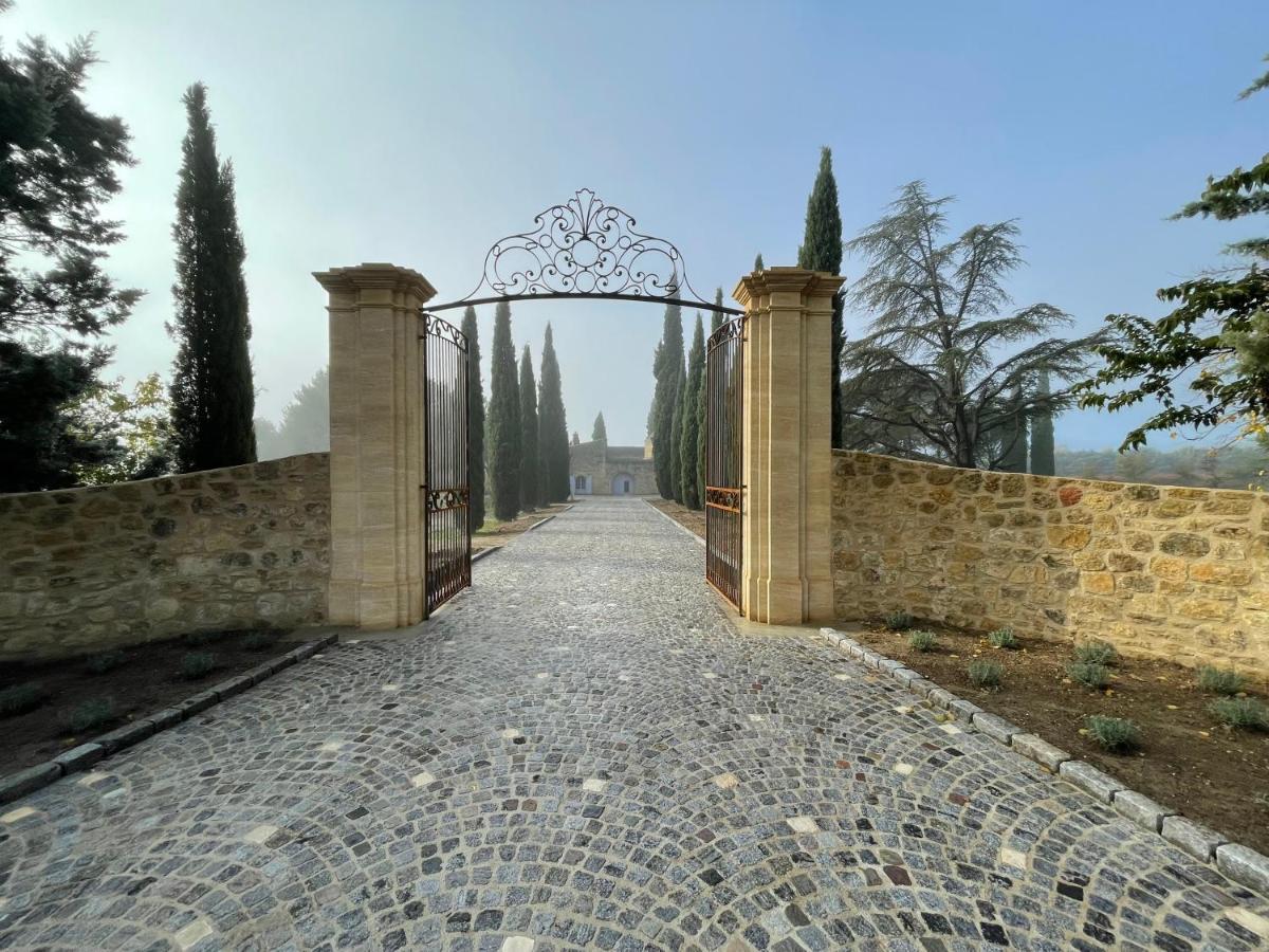 Chateau Saint-Pierre De Mejans Puyvert Kültér fotó