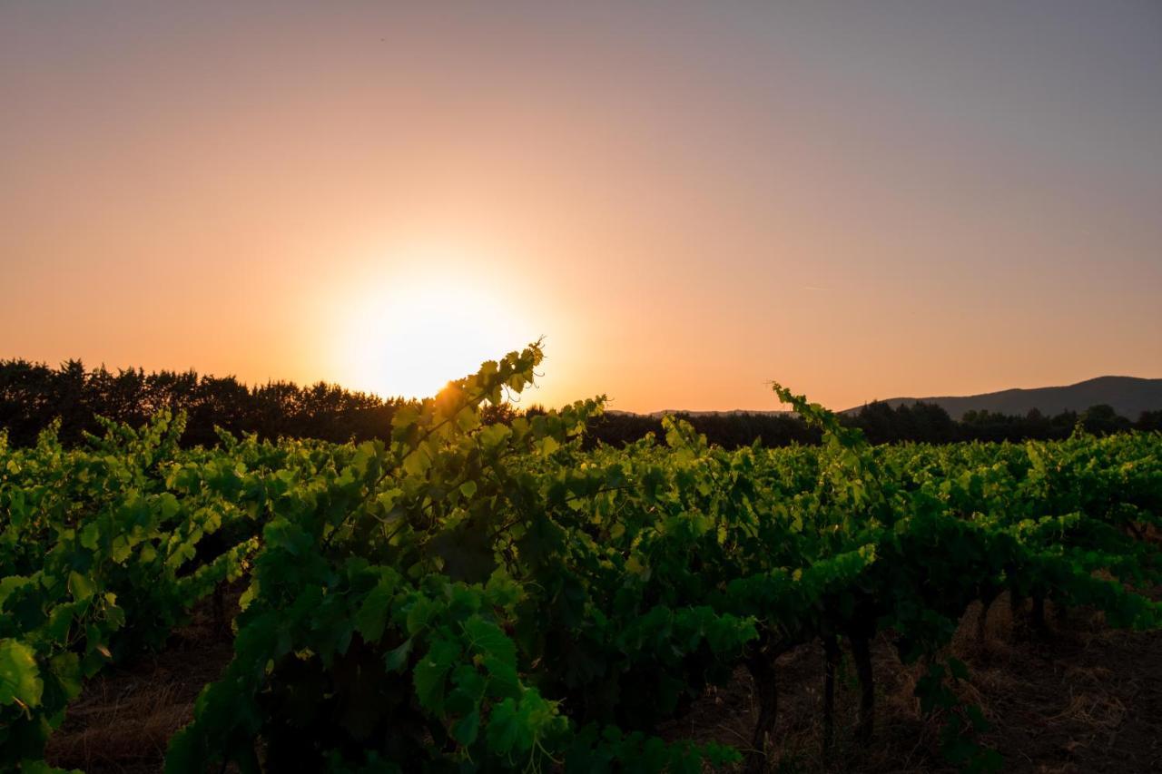 Chateau Saint-Pierre De Mejans Puyvert Kültér fotó
