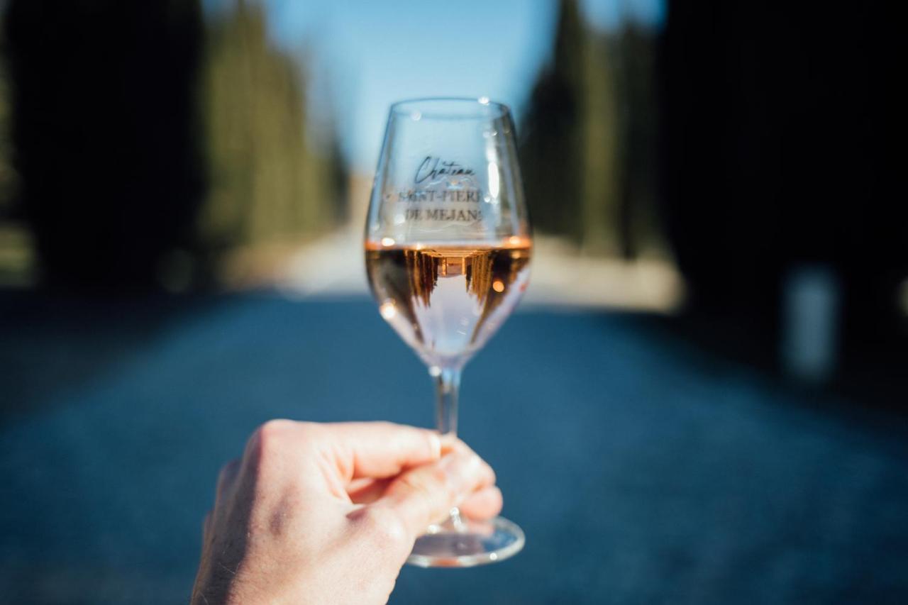 Chateau Saint-Pierre De Mejans Puyvert Kültér fotó