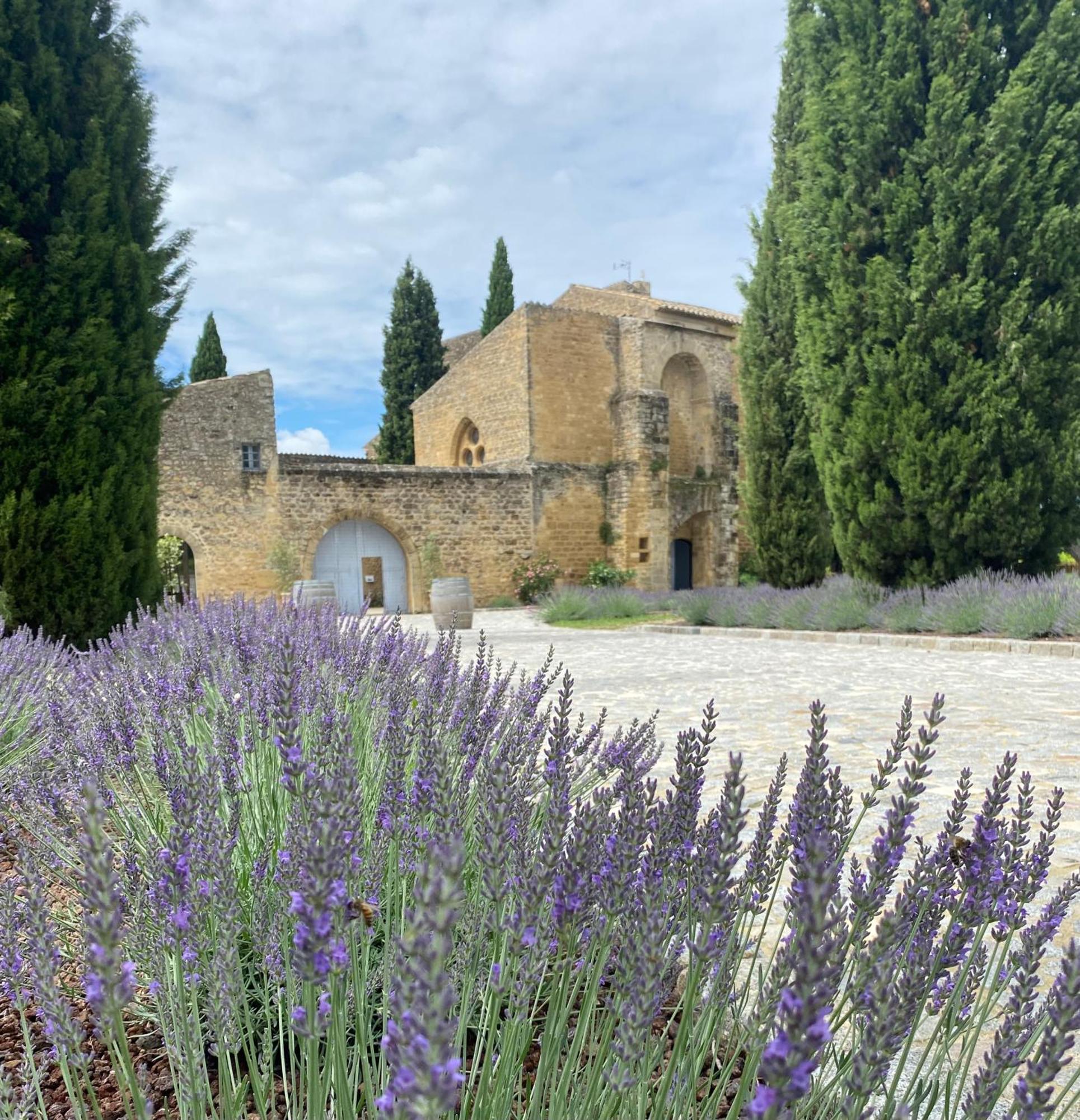 Chateau Saint-Pierre De Mejans Puyvert Kültér fotó