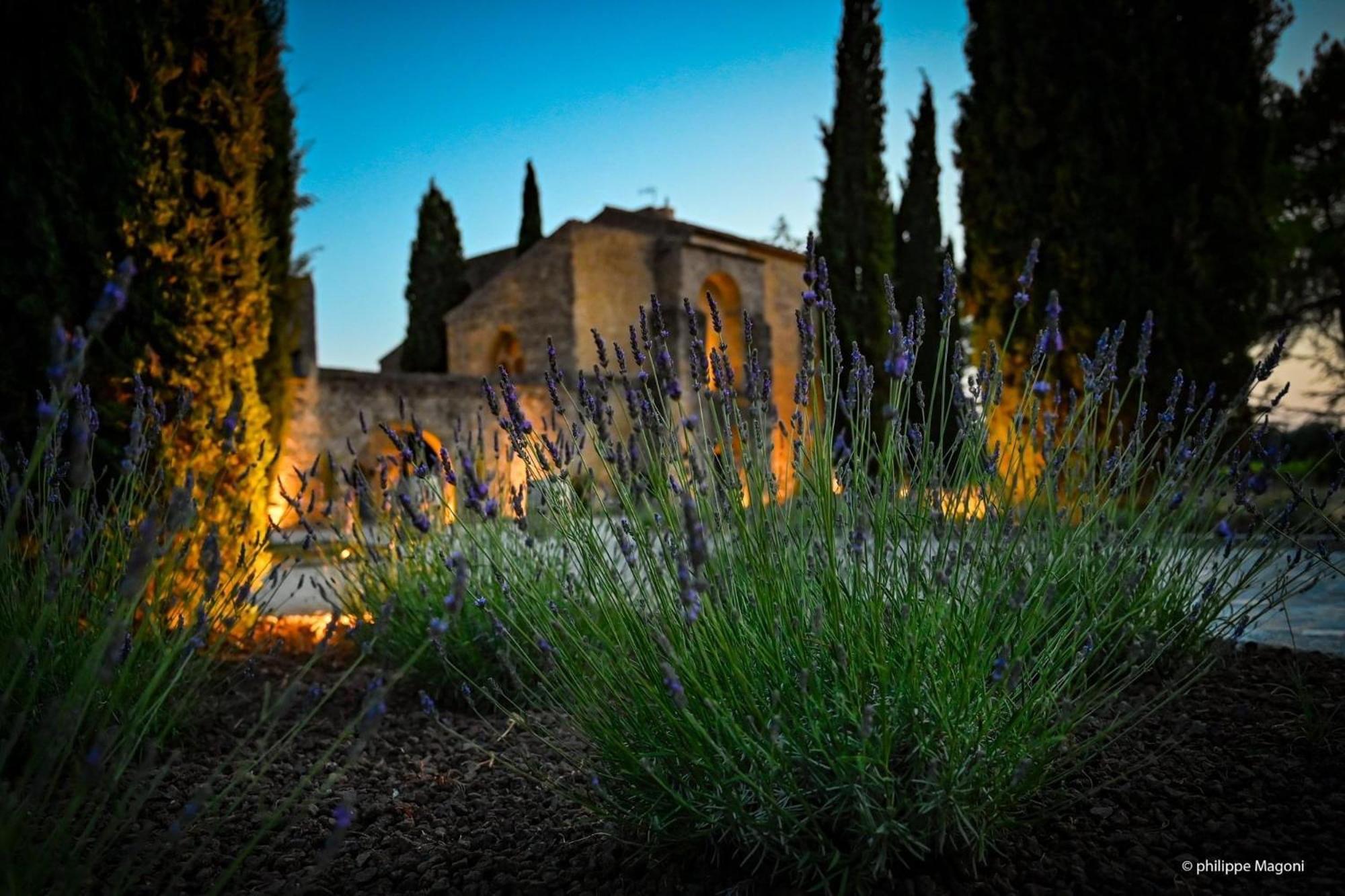 Chateau Saint-Pierre De Mejans Puyvert Kültér fotó
